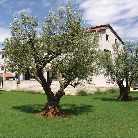Apartment Pet Friendly In With Wifi Porec
